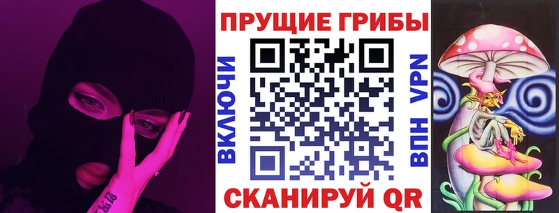 Псилоцибиновые грибы прущие грибы  ссылка на мегу ССЫЛКА  Нерчинск  купить  цена 